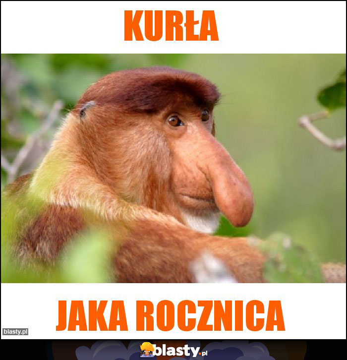 Kurła