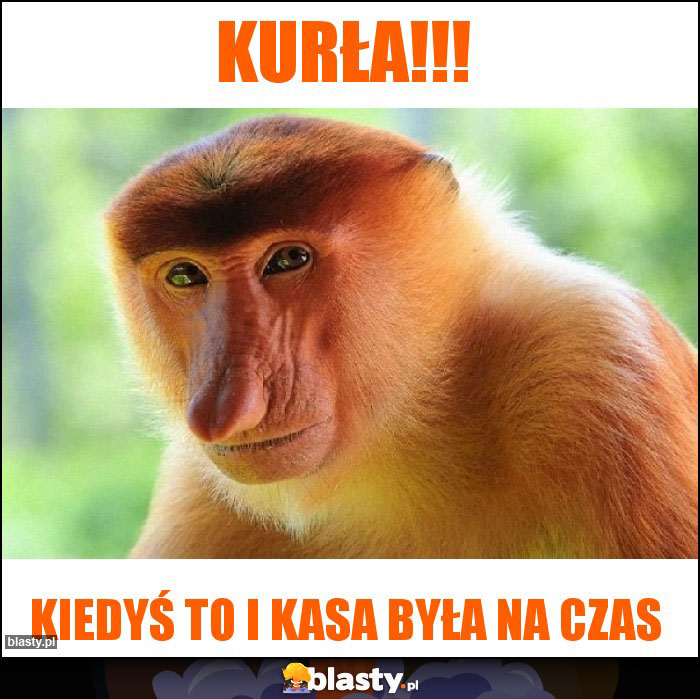 Kurła!!!