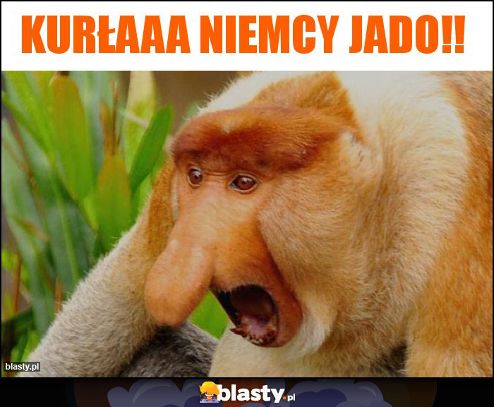 kurłaaa Niemcy jado!!