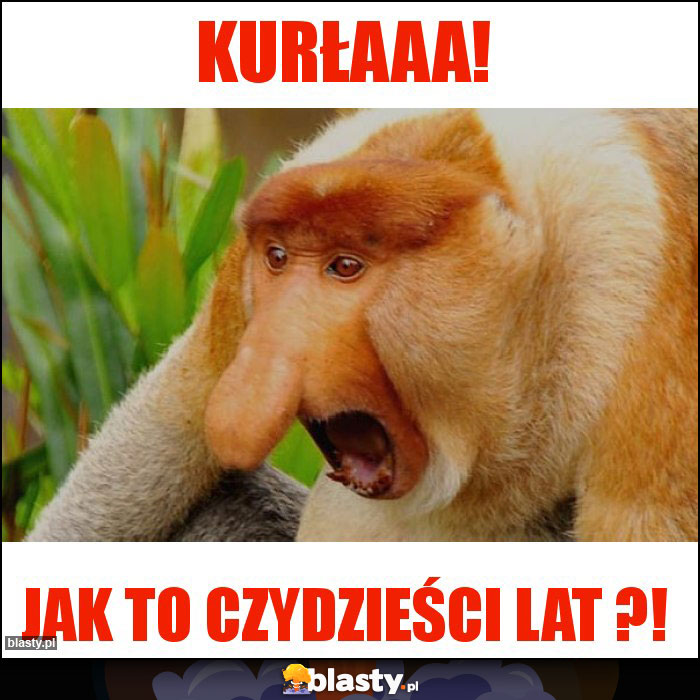 kurłaaa!