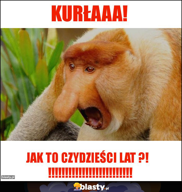 kurłaaa!