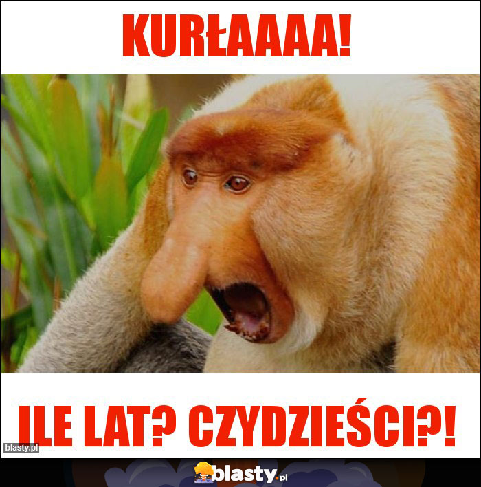 Kurłaaaa!