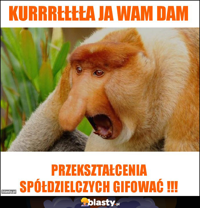 Kurrrłłłła ja Wam dam