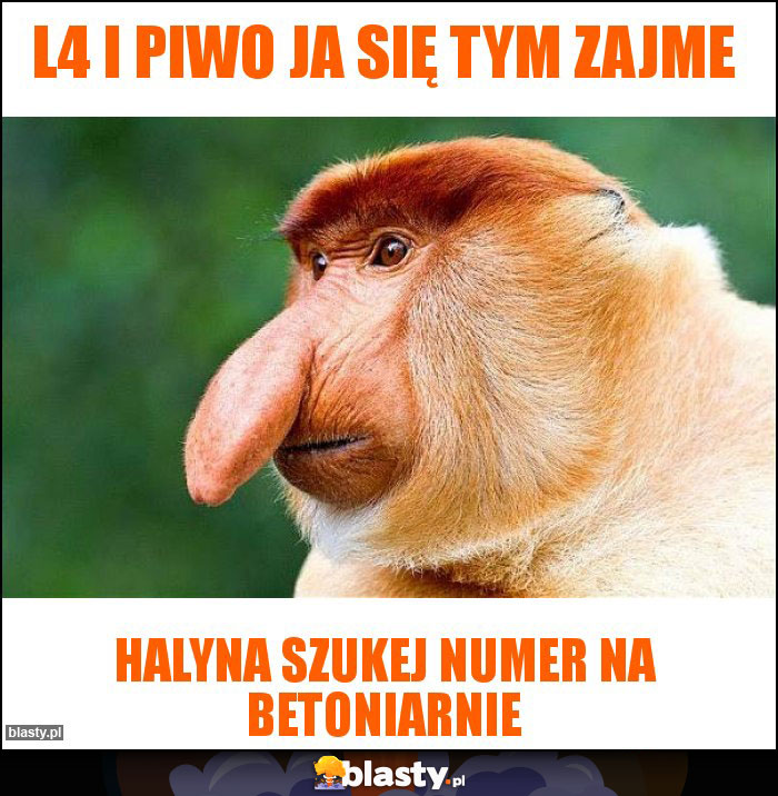 L4 i Piwo ja się tym zajme