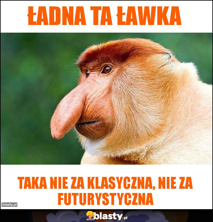 Ładna ta ławka