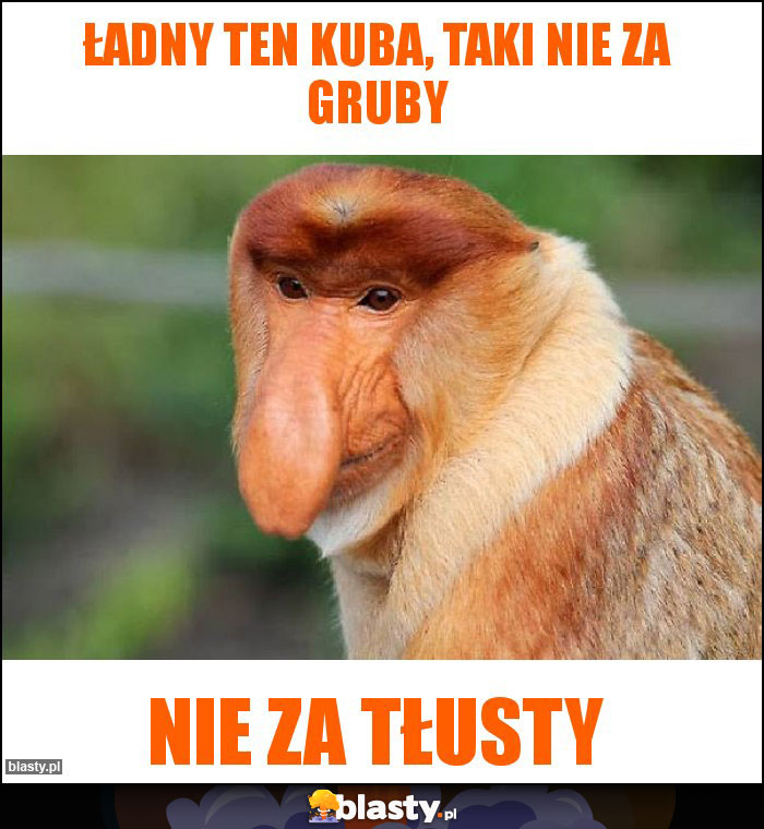 Ładny ten Kuba, taki nie za gruby