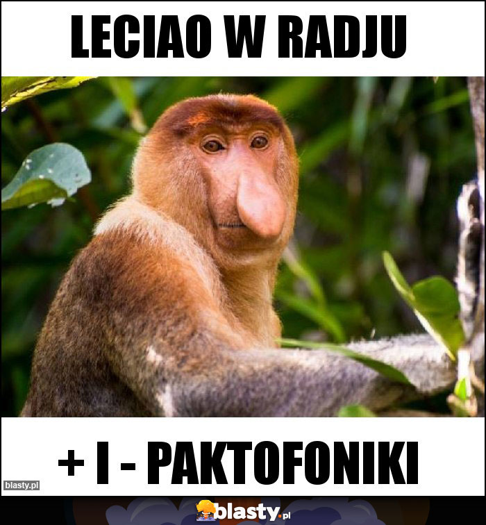 Leciao w radju