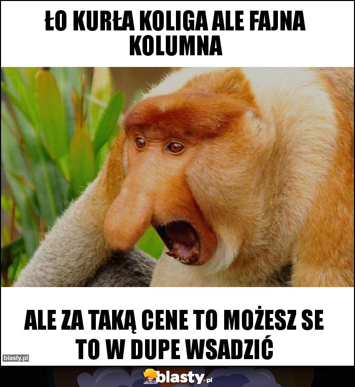 Ło kurła koliga ale fajna kolumna