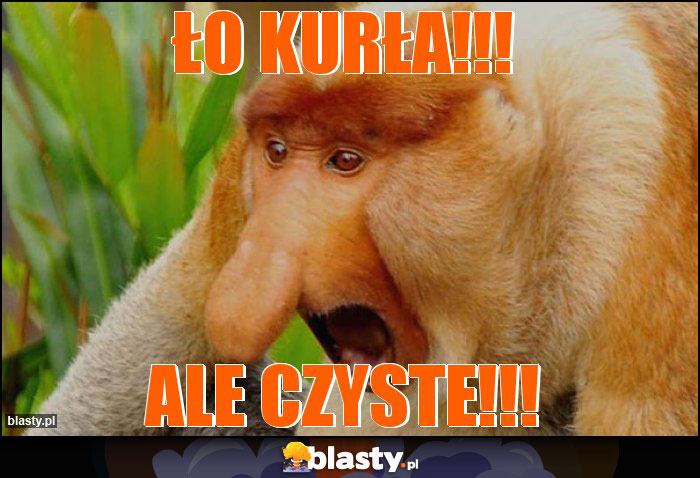 ŁO KURŁA!!!