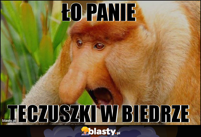 ŁO PANIE