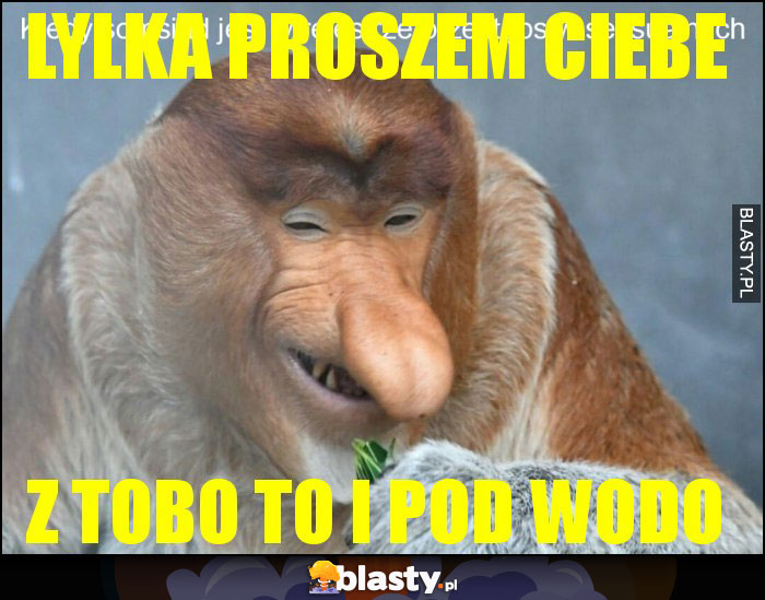 LYLKA proszem Ciebe