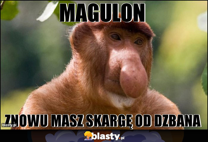 Magulon