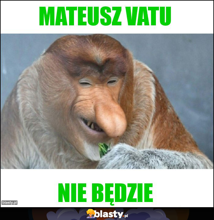 MATEUSZ VATU