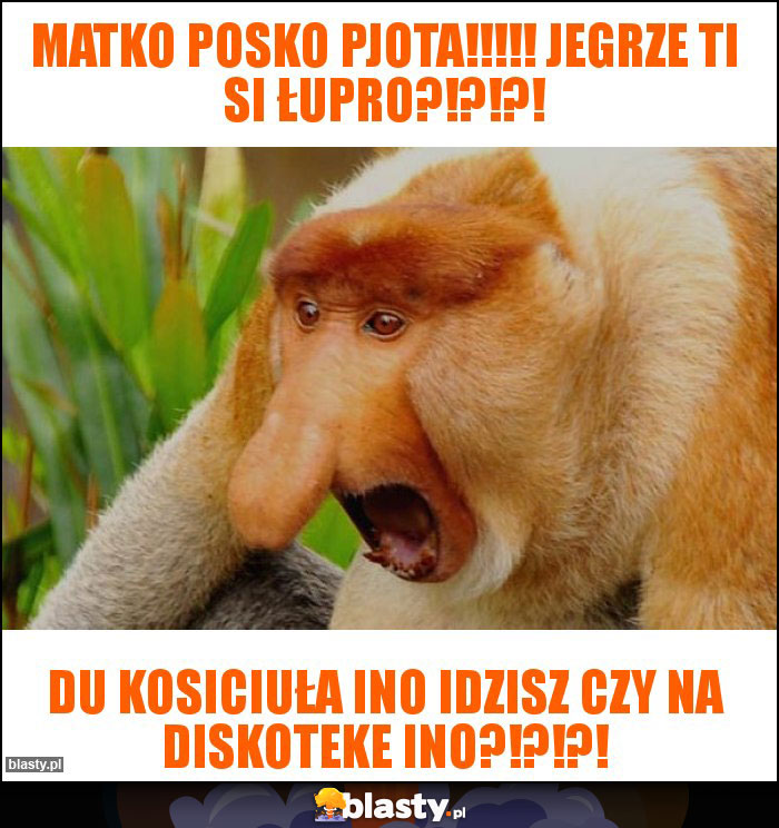 matko posko pjota!!!!! jegrze ti si łupro?!?!?!