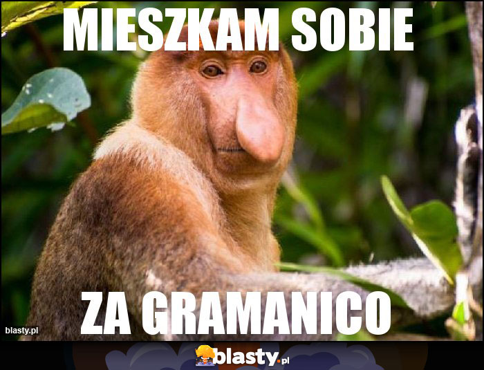 Mieszkam sobie