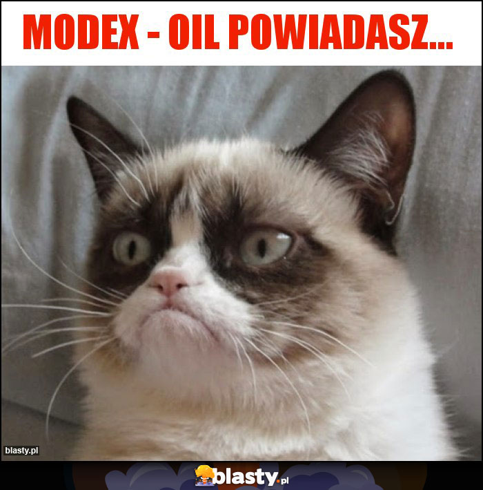 modex - oil powiadasz...