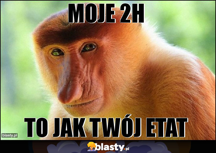 Moje 2h