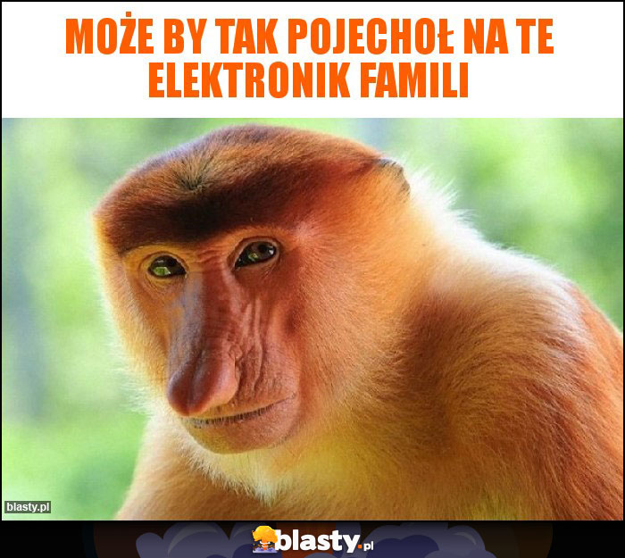 Może by tak pojechoł na te Elektronik Famili