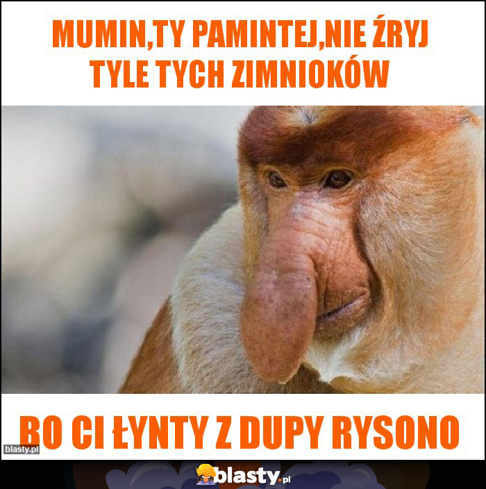 Mumin,ty pamintej,nie źryj tyle tych zimnioków