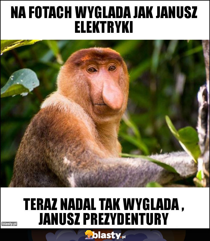 Na fotach wyglada jak janusz elektryki