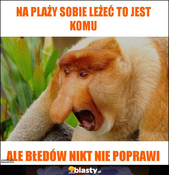 na plaży sobie leżeć to jest komu