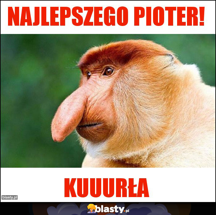 NAJLEPSZEGO pioter!