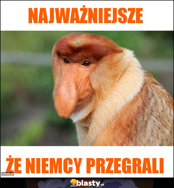 Najważniejsze