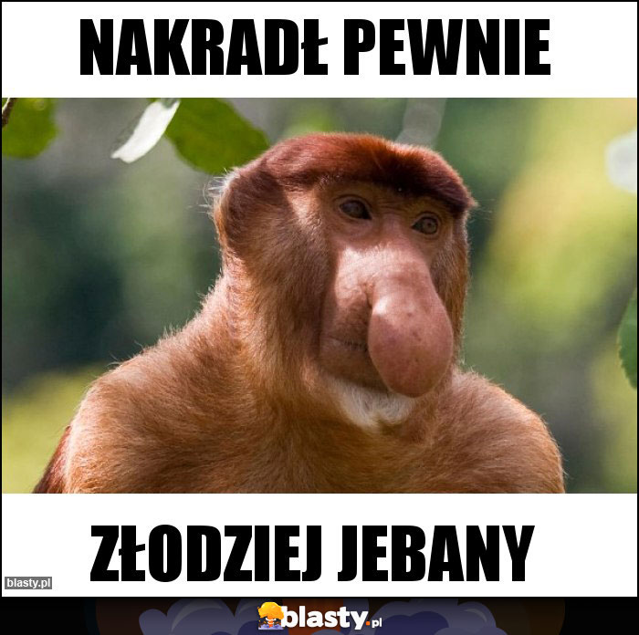 Nakradł pewnie