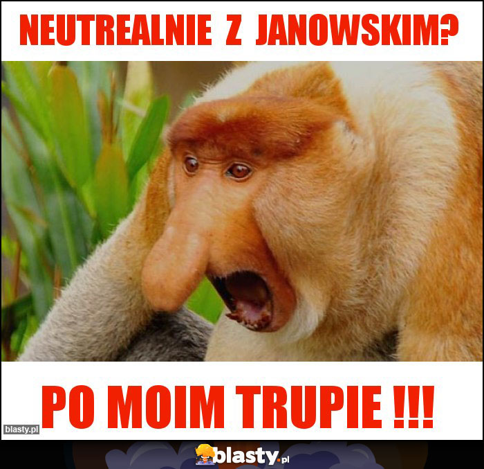 NEUTREALNIE  Z  JANOWSKIM?