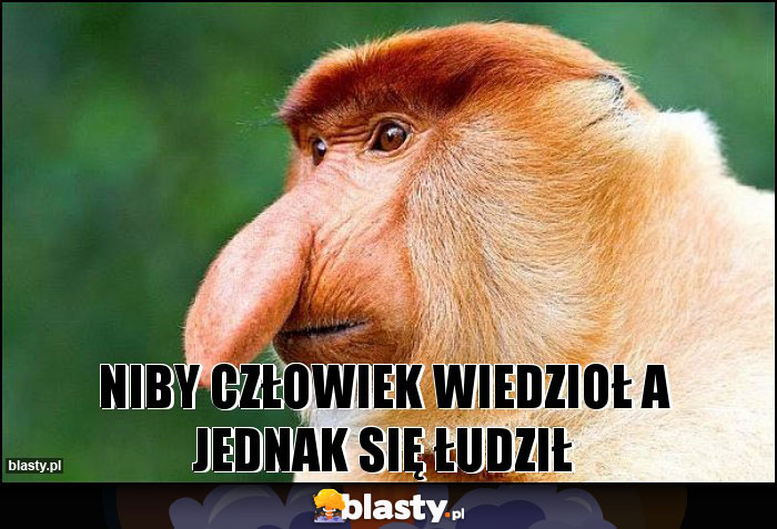 niby człowiek wiedzioł a jednak się łudził