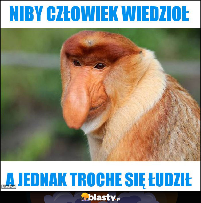 NIBY CZŁOWIEK WIEDZIOŁ