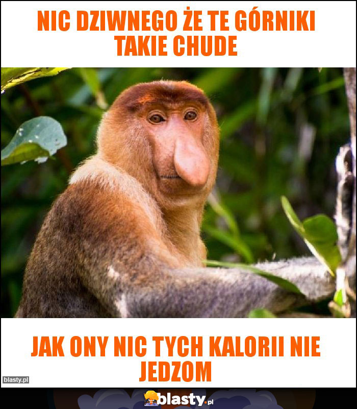 Nic dziwnego że te Górniki takie chude