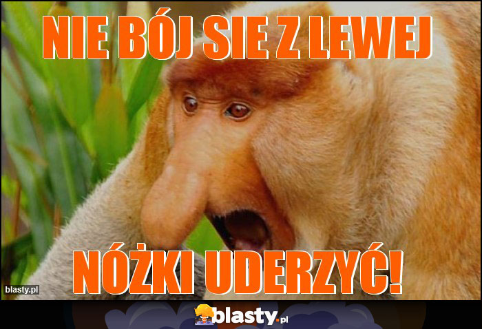 Nie bój sie z lewej