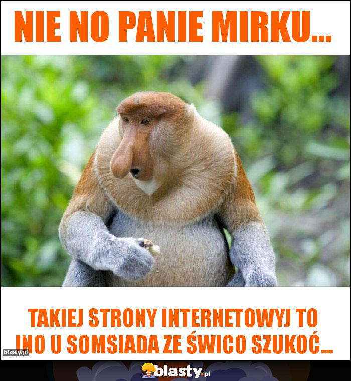 Nie no panie mirku...