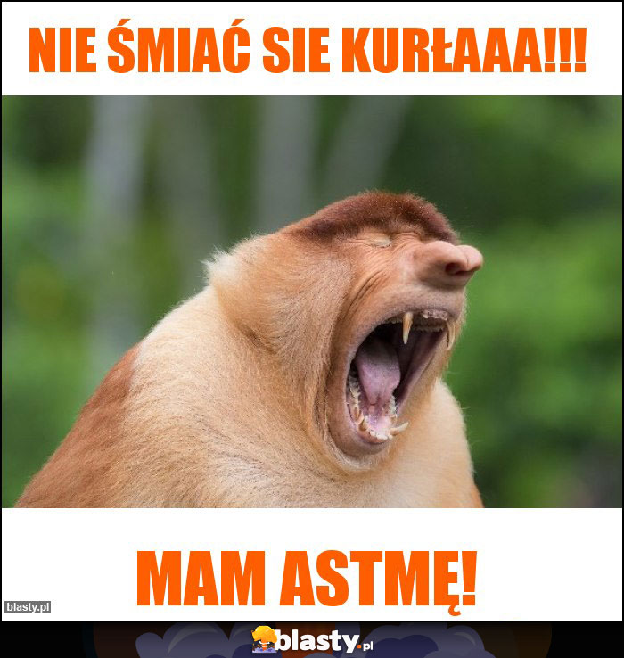 Nie śmiać sie kurłaaa!!!