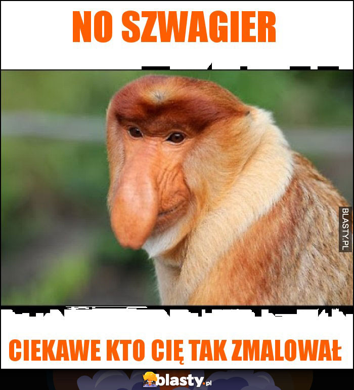 NO SZWAGIER