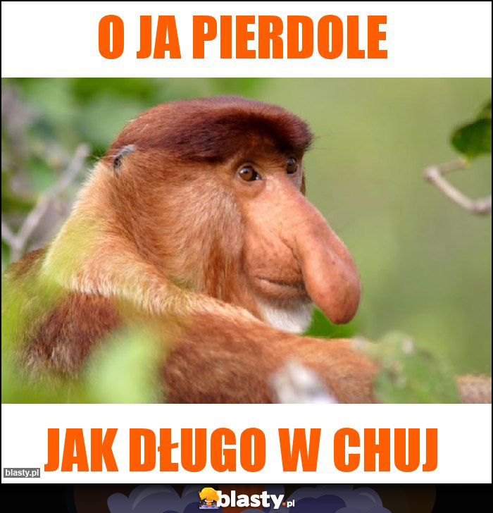 o ja pierdole