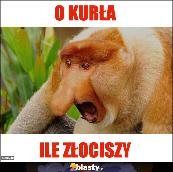 O kurła