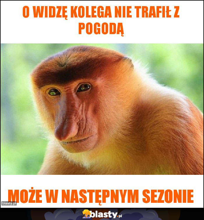 O WIDZĘ KOLEGA NIE TRAFIŁ Z POGODĄ