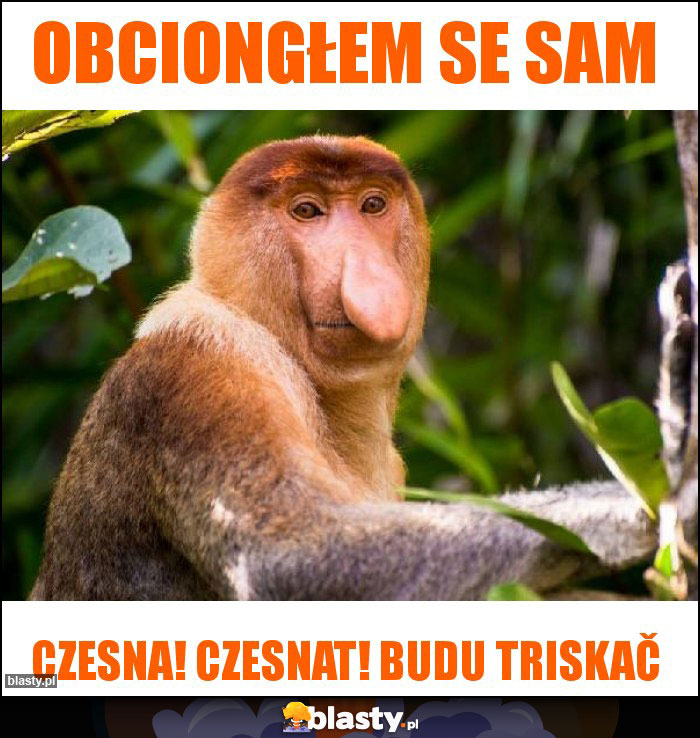 Obciongłem se sam