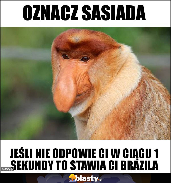 Oznacz sasiada