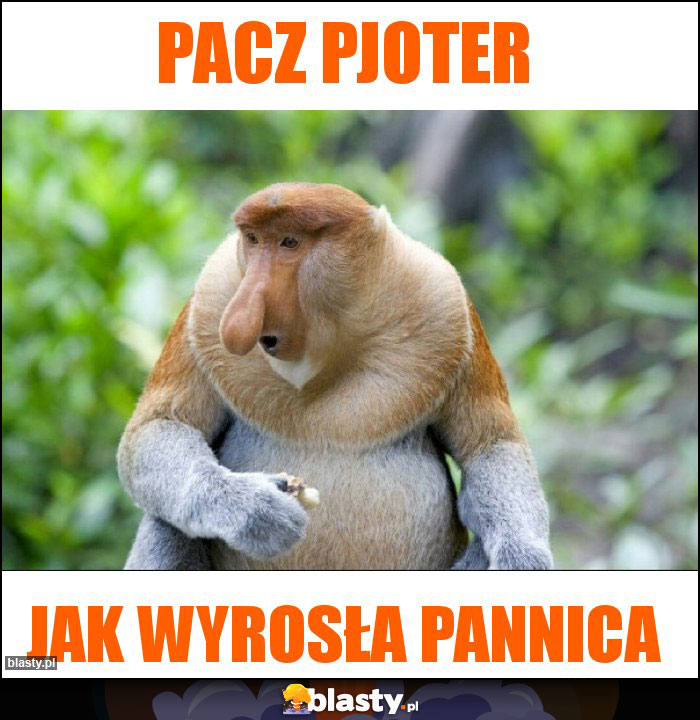 Pacz Pjoter