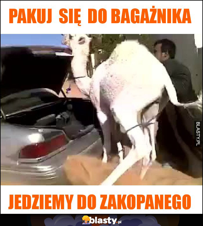 pakuj  się  do bagażnika