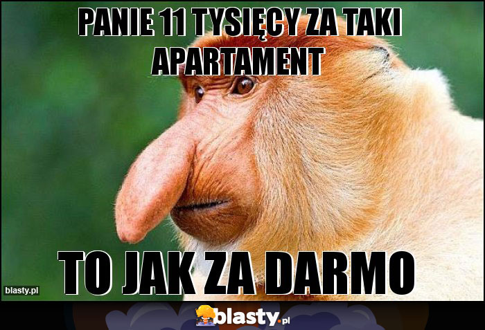 PANIE 11 tysięcy za taki apartament