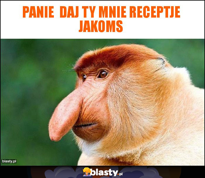 Panie  daj ty mnie receptje jakoms