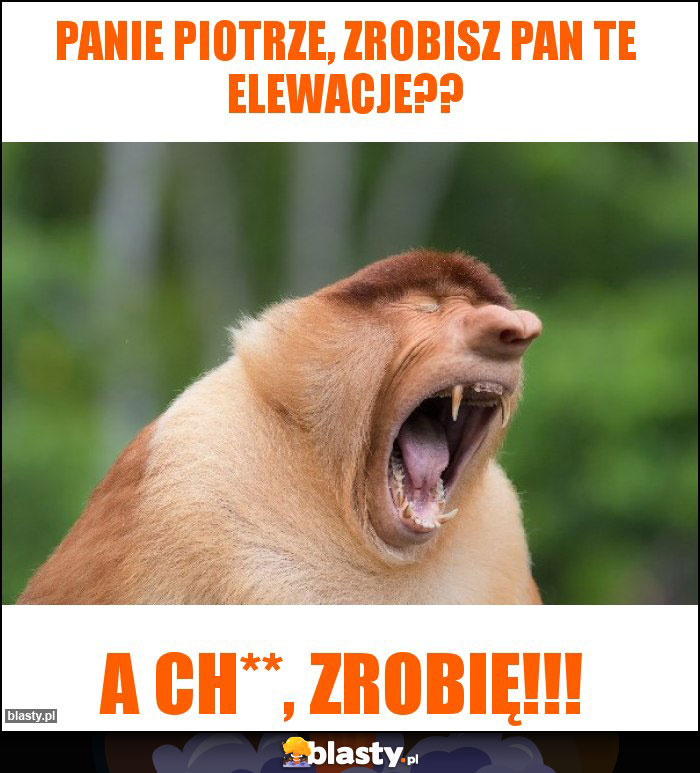 Panie Piotrze, zrobisz Pan te elewacje??