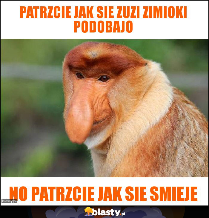 Patrzcie jak sie zuzi zimioki podobajo