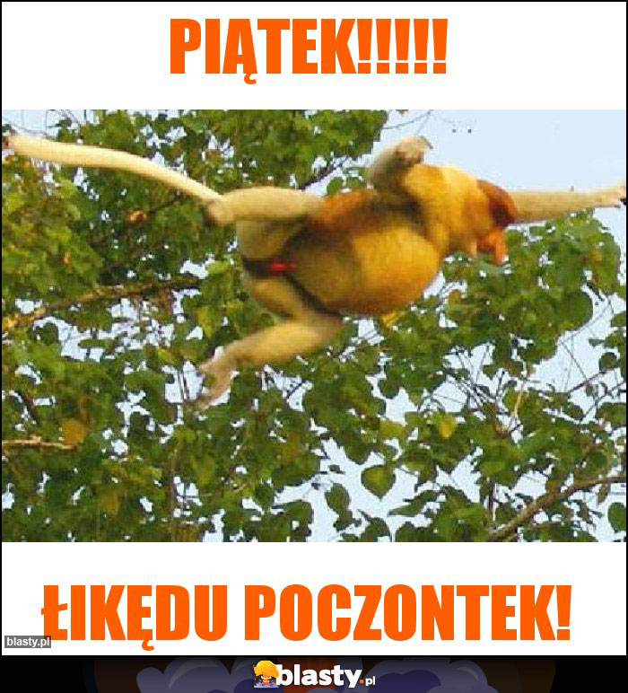 PIĄTEK!!!!!