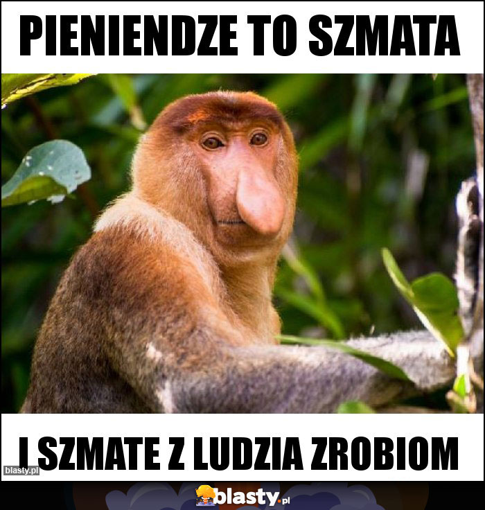 Pieniendze to szmata