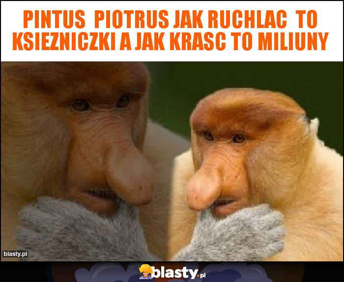 Pintus  Piotrus jak ruchlac  to ksiezniczki a jak krasc to miliuny